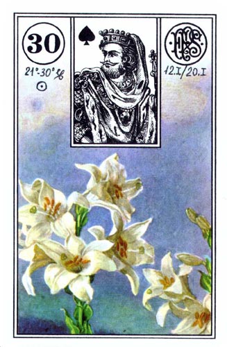 Lenormand Piatnik - Card30.jpg