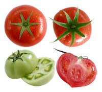  Gify pomidory - 11.jpg