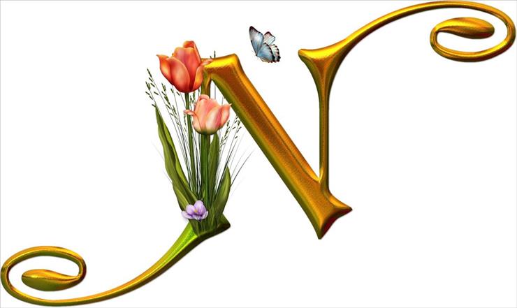 z tulipanami - N.jpg